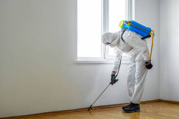 Pest Prevention Services